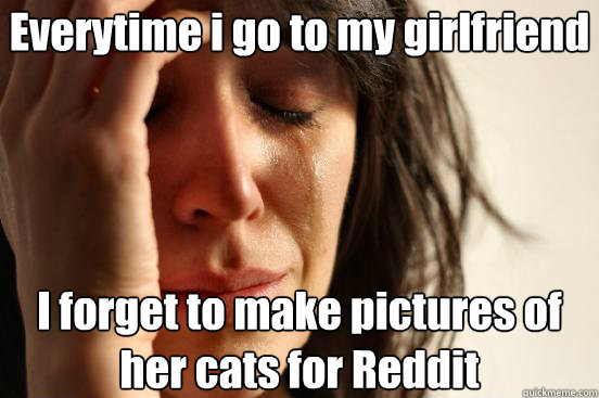Everytime i go to my girlfriend I forget to make pictures of her cats for Reddit  First World Problems