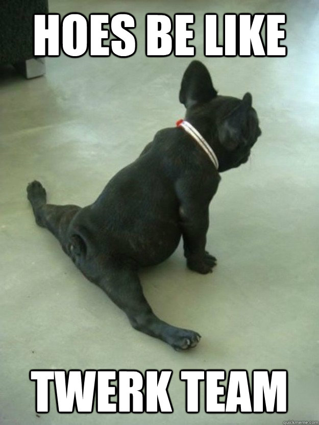 HOES BE LIKE TWERK TEAM  