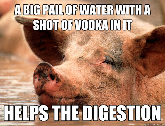a big pail of water with a shot of vodka in it helps the digestion  Stoner Pig