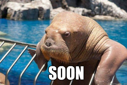  soon  Soon walrus