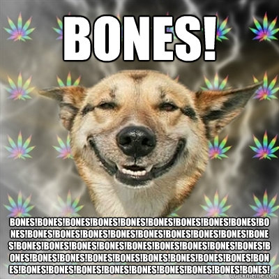 BONES! BONES!BONES!BONES!BONES!BONES!BONES!BONES!BONES!BONES!BONES!BONES!BONES!BONES!BONES!BONES!BONES!BONES!BONES!BONES!BONES!BONES!BONES!BONES!BONES!BONES!BONES!BONES!BONES!BONES!BONES!BONES!BONES!BONES!BONES!BONES!BONES!BONES!BONES!BONES!BONES!BONES!BO  Stoner Dog