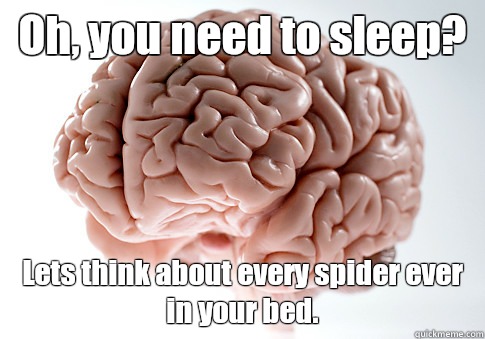 Oh, you need to sleep? Lets think about every spider ever in your bed.   Scumbag Brain