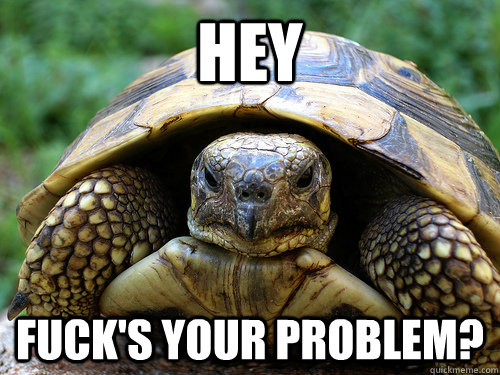 Hey fuck's your problem?  Angry Turtle