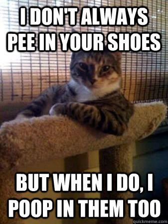 I don't always pee in your shoes but when I do, I poop in them too  The Most Interesting Cat in the World