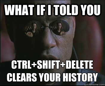What if I told you Ctrl+shift+delete
clears your history  Morpheus SC