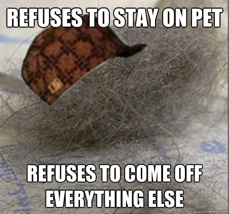 REFUSES TO STAY ON PET REFUSES TO COME OFF EVERYTHING ELSE - REFUSES TO STAY ON PET REFUSES TO COME OFF EVERYTHING ELSE  Scumbag Pet Hair