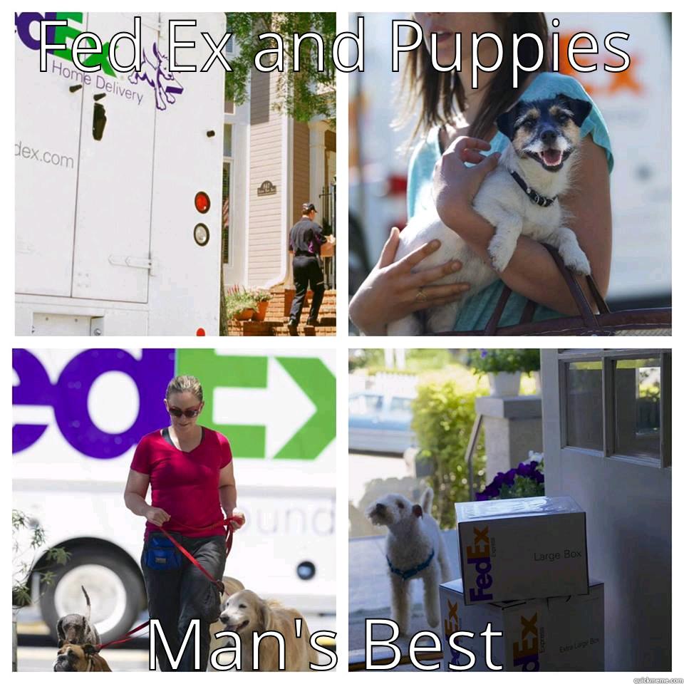 FED EX AND PUPPIES MAN'S BEST FRIEND Misc