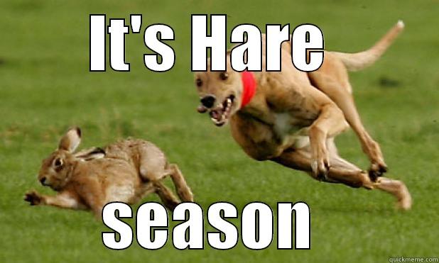 IT'S HARE  SEASON  Misc