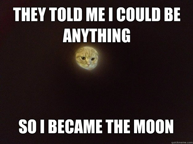 They told me I could be 
anything So I became the moon  Moon Cat