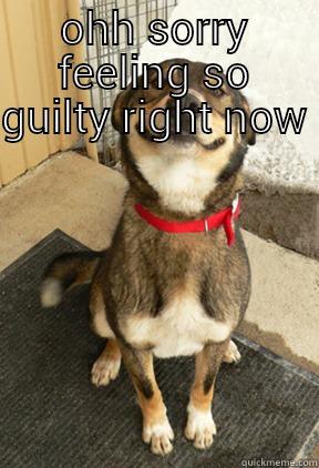 OHH SORRY FEELING SO GUILTY RIGHT NOW   Good Dog Greg