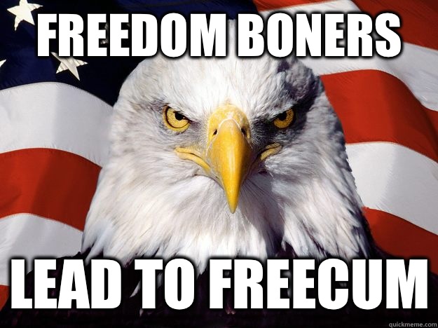 Freedom Boners Lead to FreeCum  Good Guy Bald Eagle