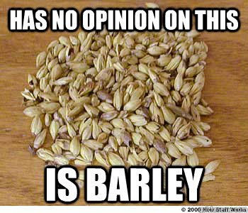 has no opinion on this is barley - has no opinion on this is barley  Barley Barley