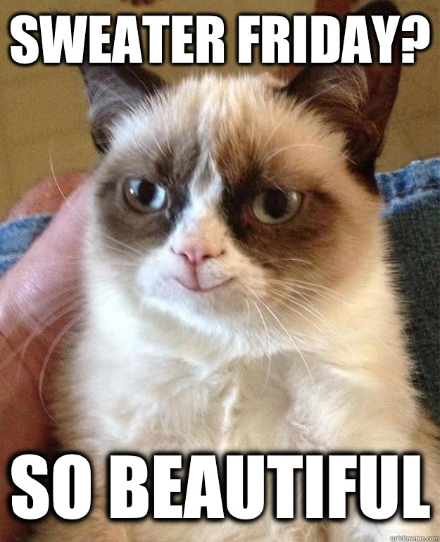 Sweater Friday? So Beautiful  happy grumpy cat
