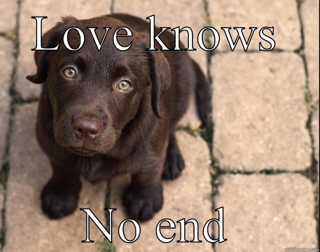 LOVE KNOWS NO END Misc