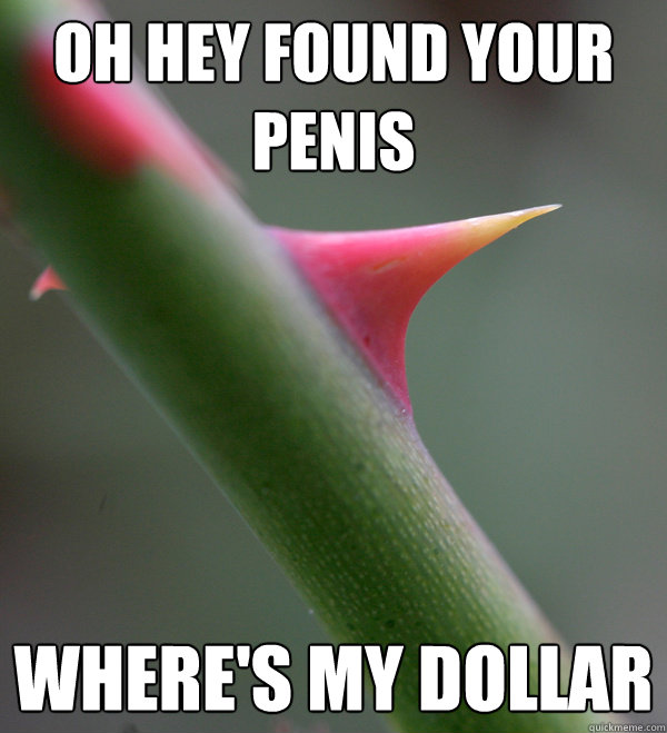 Oh hey found your penis Where's my dollar  