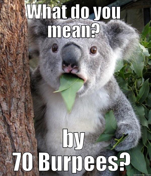 Whats the WOD today? - WHAT DO YOU MEAN? BY 70 BURPEES?  Misc