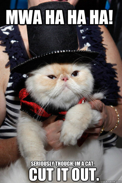 Mwa ha ha ha! SERIOUSLY THOUGH, IM A CAT. CUT IT OUT. - Mwa ha ha ha! SERIOUSLY THOUGH, IM A CAT. CUT IT OUT.  Old-timey villain cat is not amused