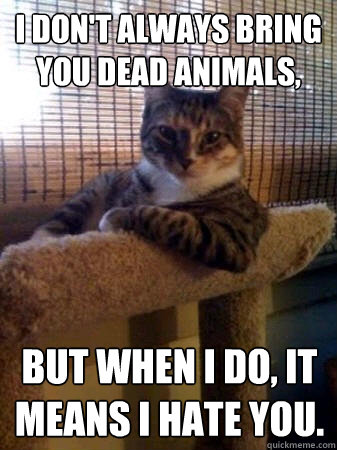 I don't always bring you dead animals, but when I do, it means I hate you.  The Most Interesting Cat in the World
