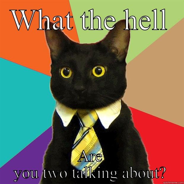WHAT THE HELL ARE YOU TWO TALKING ABOUT? Business Cat