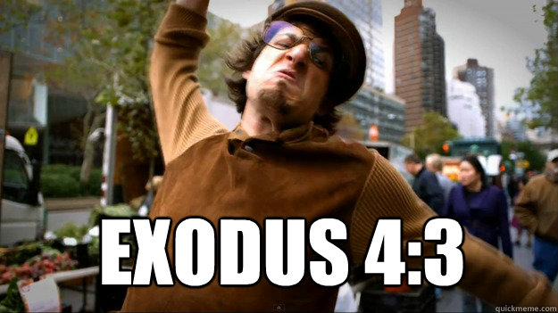  Exodus 4:3  -  Exodus 4:3   Threw it on the ground