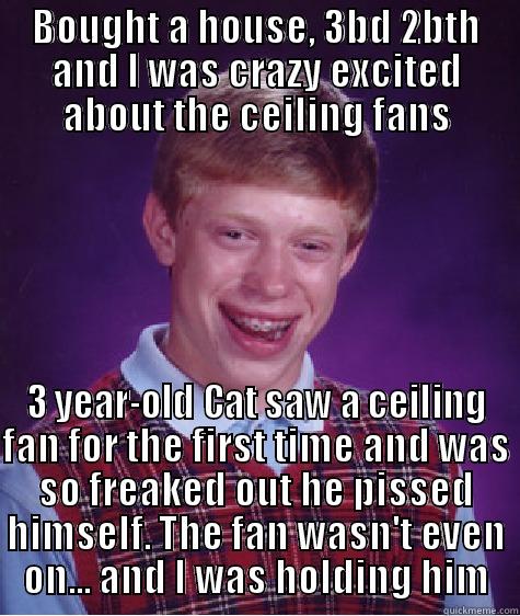 BOUGHT A HOUSE, 3BD 2BTH AND I WAS CRAZY EXCITED ABOUT THE CEILING FANS 3 YEAR-OLD CAT SAW A CEILING FAN FOR THE FIRST TIME AND WAS SO FREAKED OUT HE PISSED HIMSELF. THE FAN WASN'T EVEN ON... AND I WAS HOLDING HIM Bad Luck Brian