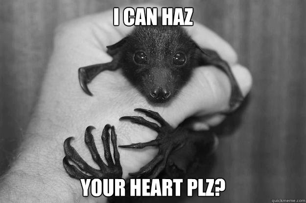 I can haz your heart plz? - I can haz your heart plz?  Cute Bat Heart
