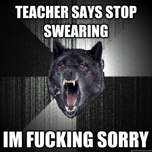 teacher says stop swearing im fucking sorry  Insanity Wolf