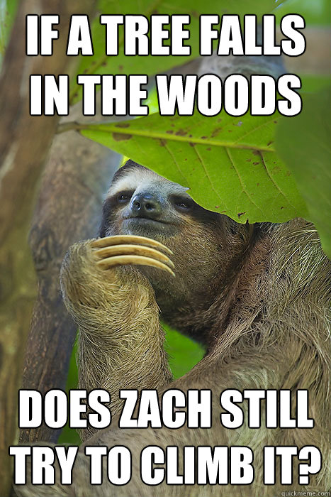 If a tree falls in the woods does zach still try to climb it?  Philososloth
