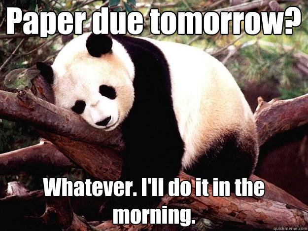 Paper due tomorrow? Whatever. I'll do it in the morning.  - Paper due tomorrow? Whatever. I'll do it in the morning.   Procrastination Panda