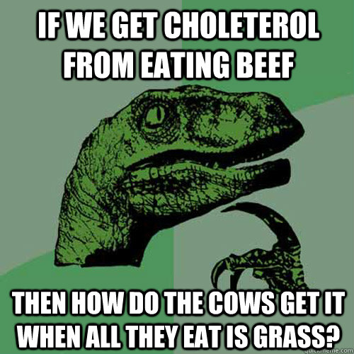 if we get choleterol from eating beef then how do the cows get it when all they eat is grass?  Philosoraptor