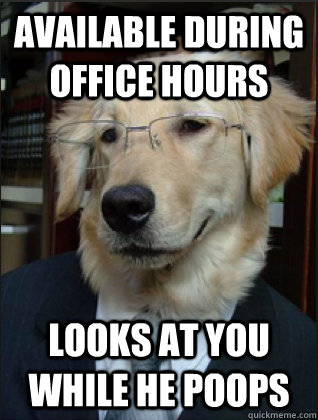 Available during office hours Looks at you while he poops  Professor Dog