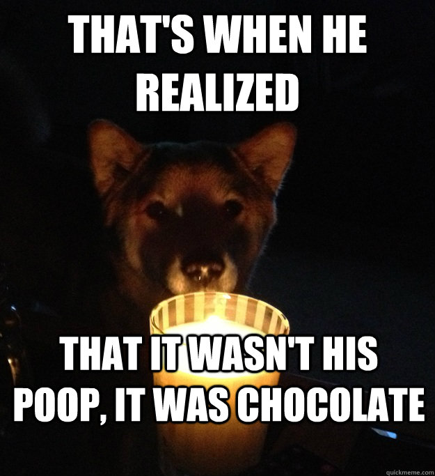 that's when he realized  that it wasn't his poop, it was chocolate  Scary Story Dog