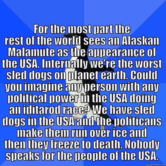  FOR THE MOST PART THE REST OF THE WORLD SEES AN ALASKAN MALAMUTE AS THE APPEARANCE OF THE USA. INTERNALLY WE'RE THE WORST SLED DOGS ON PLANET EARTH. COULD YOU IMAGINE ANY PERSON WITH ANY POLITICAL POWER IN THE USA DOING AN IDITAROD RACE? WE HAVE SLED DOGS Socially Awkward Penguin