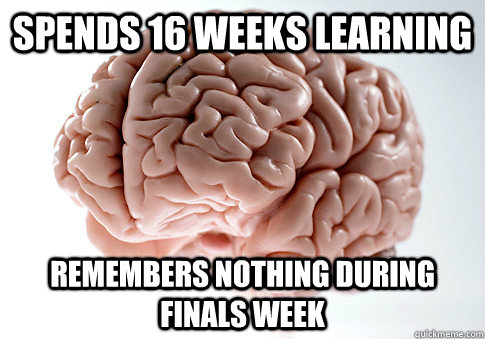 SPENDS 16 WEEKS LEARNING REMEMBERS NOTHING DURING FINALS WEEK   Scumbag Brain