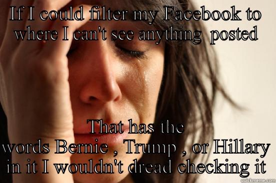 IF I COULD FILTER MY FACEBOOK TO WHERE I CAN'T SEE ANYTHING  POSTED THAT HAS THE WORDS BERNIE , TRUMP , OR HILLARY IN IT I WOULDN'T DREAD CHECKING IT First World Problems