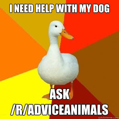 I need help with my dog Ask /r/adviceanimals  