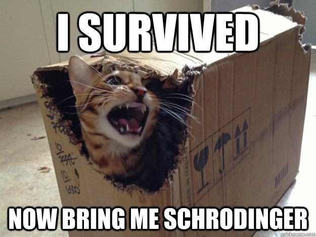 I survived now bring me Schrodinger - I survived now bring me Schrodinger  schrodinger cat