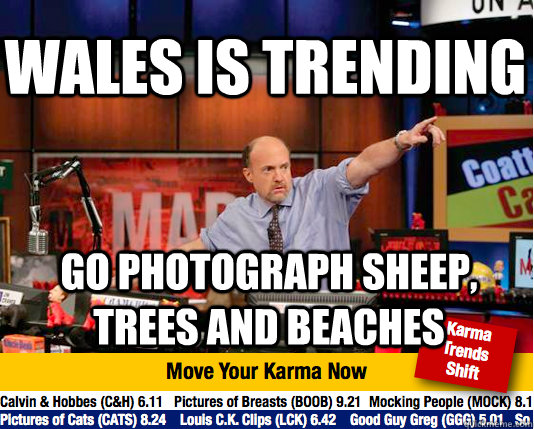 wales is trending go photograph sheep, trees and beaches  Mad Karma with Jim Cramer
