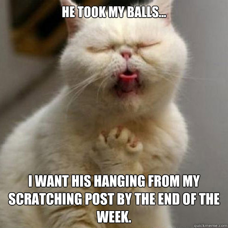 He took my balls... I want his hanging from my scratching post by the end of the week.  