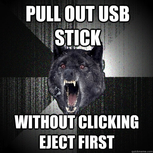 pull out usb stick without clicking eject first  Insanity Wolf