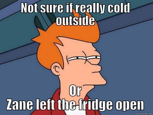 Not sure if really cold outside - NOT SURE IF REALLY COLD OUTSIDE OR ZANE LEFT THE FRIDGE OPEN Futurama Fry