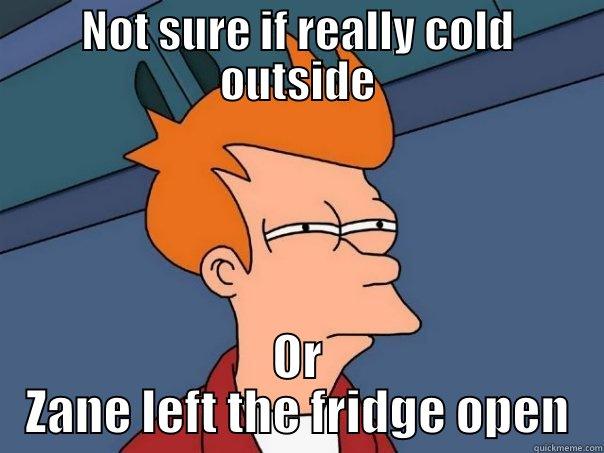 NOT SURE IF REALLY COLD OUTSIDE OR ZANE LEFT THE FRIDGE OPEN Futurama Fry