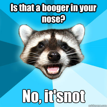 Is that a booger in your nose? No, it'snot  Lame Pun Coon