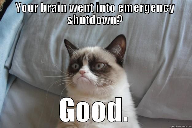 The funniest Grumpy Cat meme - YOUR BRAIN WENT INTO EMERGENCY SHUTDOWN? GOOD. Grumpy Cat