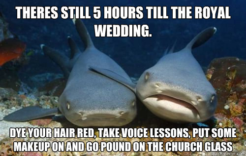 theres still 5 hours till the royal wedding. dye your hair red, take voice lessons, put some makeup on and go pound on the church glass  Compassionate Shark Friend