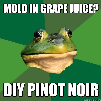 mold in grape juice? DIY pinot noir  Foul Bachelor Frog