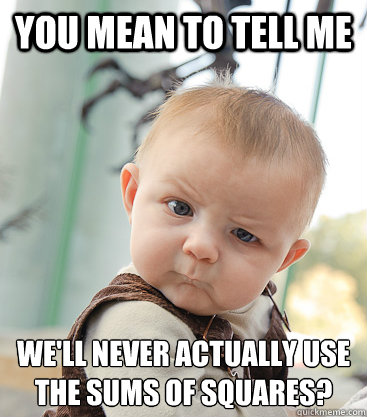 You mean to tell me we'll never actually use the sums of squares?  - You mean to tell me we'll never actually use the sums of squares?   skeptical baby