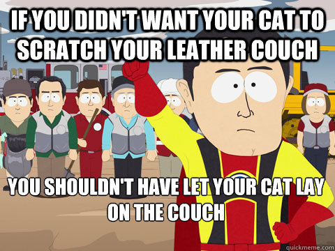 IF YOU DIDN'T WANT YOUR CAT TO SCRATCH YOUR LEATHER COUCH YOU SHOULDN'T HAVE LET YOUR CAT LAY ON THE COUCH  Captain Hindsight