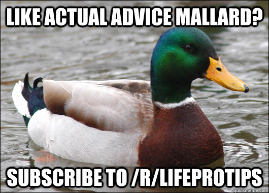 Like actual advice mallard? Subscribe to /r/lifeprotips - Like actual advice mallard? Subscribe to /r/lifeprotips  Actual Advice Mallard