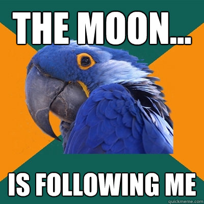 The Moon... is following me  Paranoid Parrot